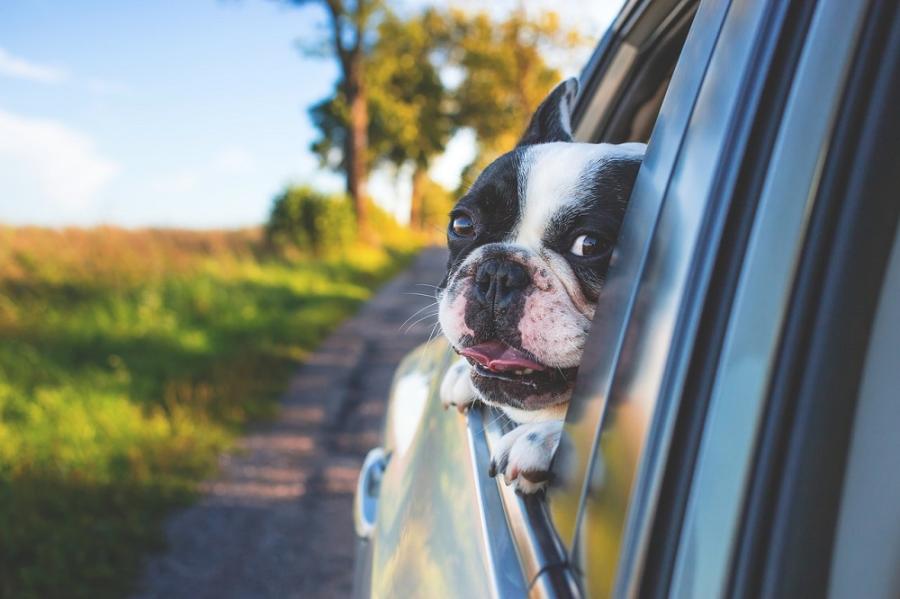 Bij schadevrije jaren bouw je elk jaar premiekorting op wat betekent dat je beloond wordt voor je veilige rijstijl. Veilig rijden levert plat gezegd geld op. 