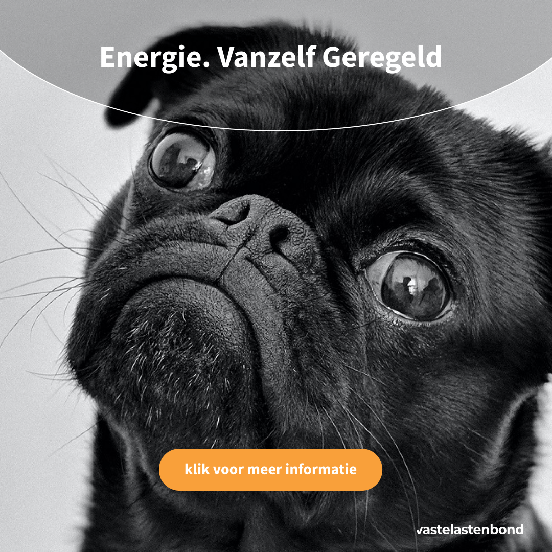 Energie Vanzelf Geregeld